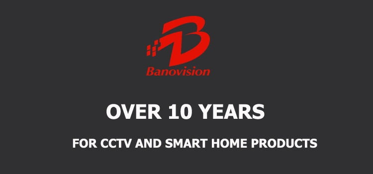 Banovision H. 265 2MP 5MP 4K Security CCTV IP Surveillance Network Dome Camera System From CCTV Camera Supplier